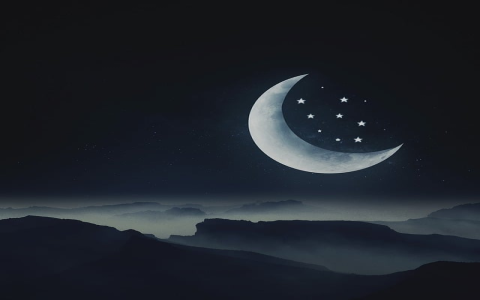 一般纳税人证明怎么开