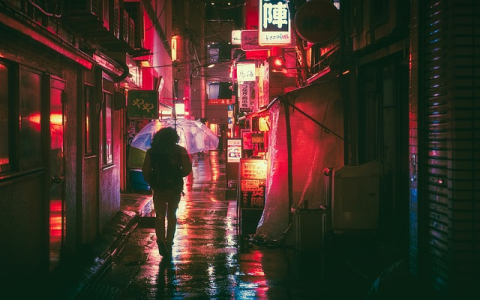 资本公积的用途有哪些(通俗解释资本公积使用范围)