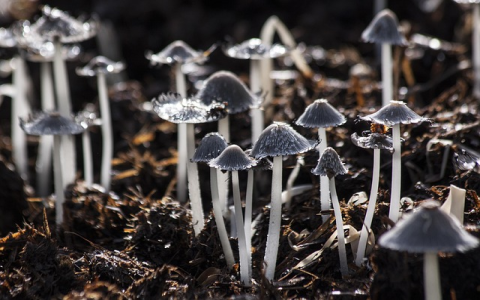 计提工资是按应发还是实发(最新计提工资会计分录)