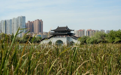 收到财务费用利息收入为什么用红字(利息收入的正确分录)